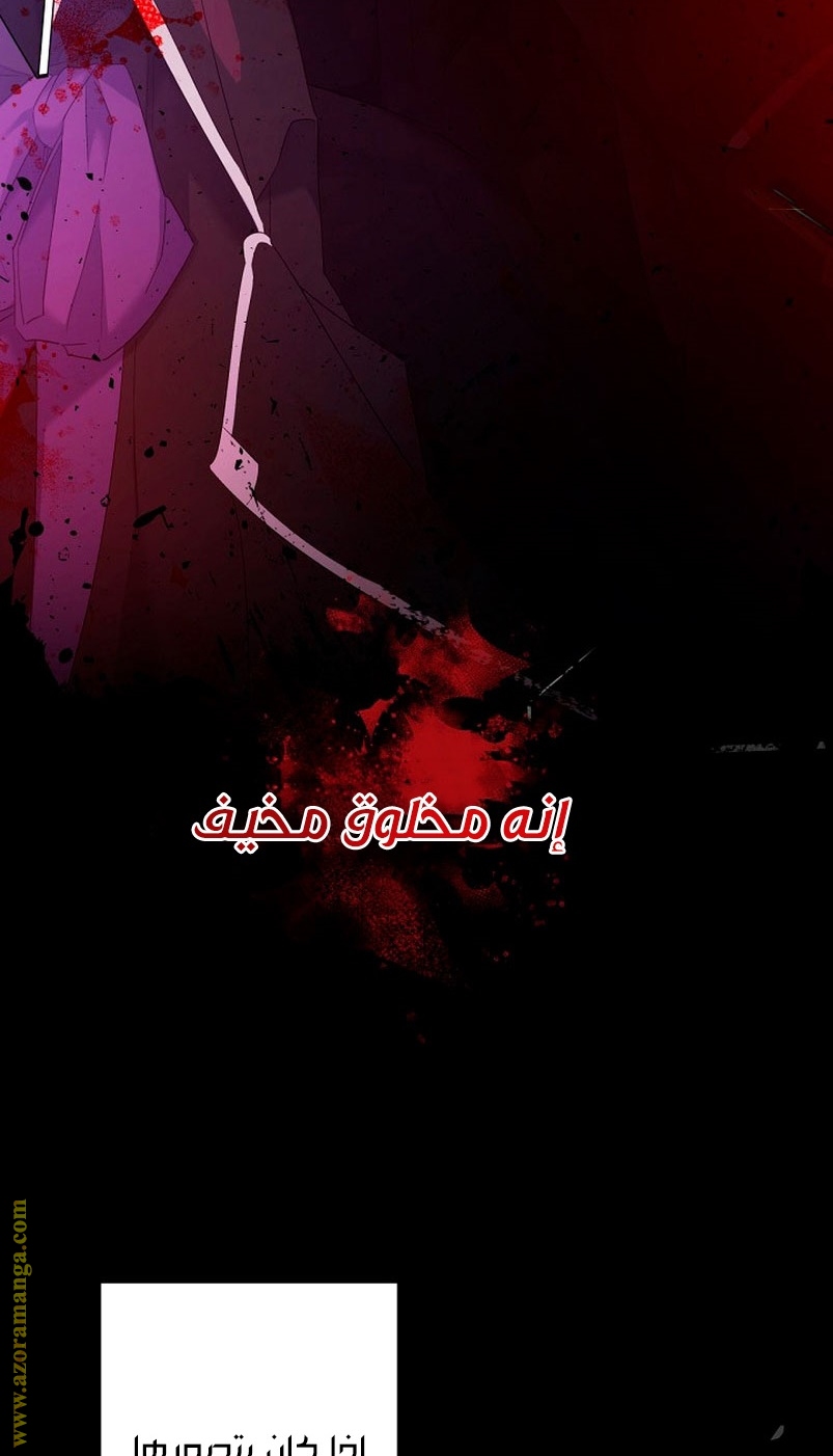 الصفحة 45