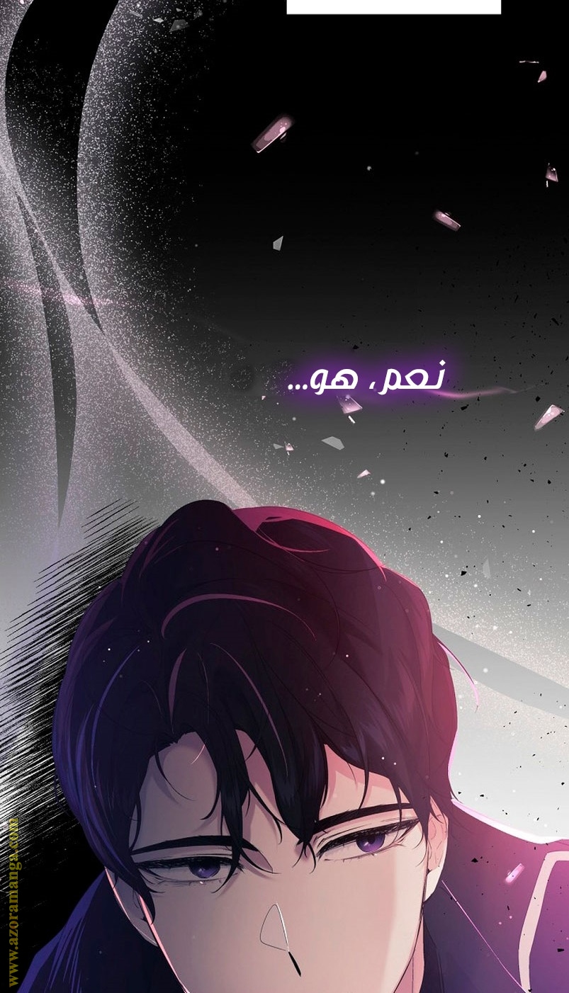 الصفحة 47