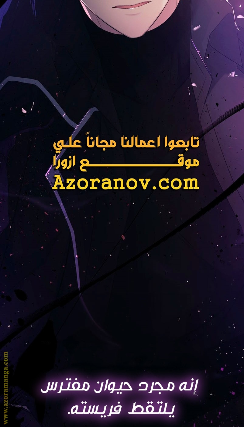 الصفحة 48