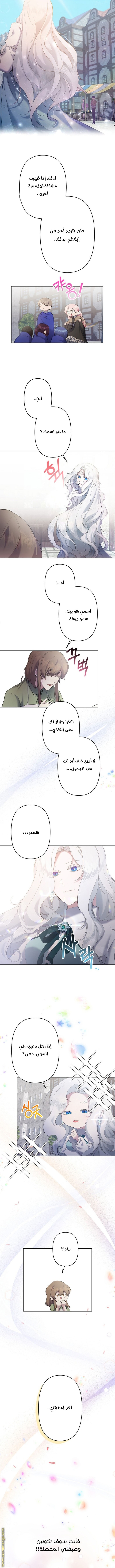 الصفحة 7