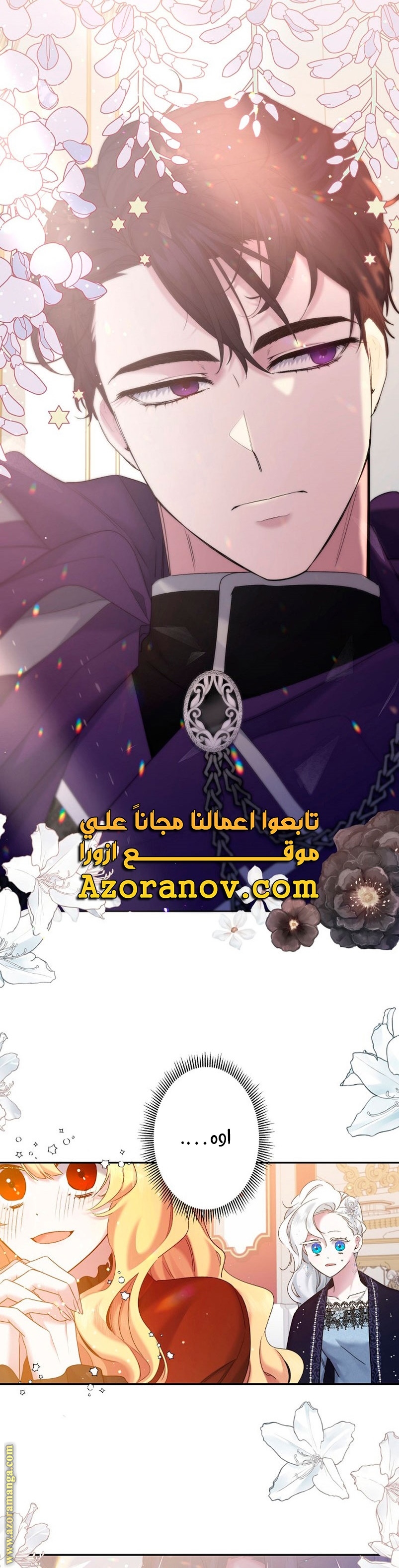 الصفحة 30