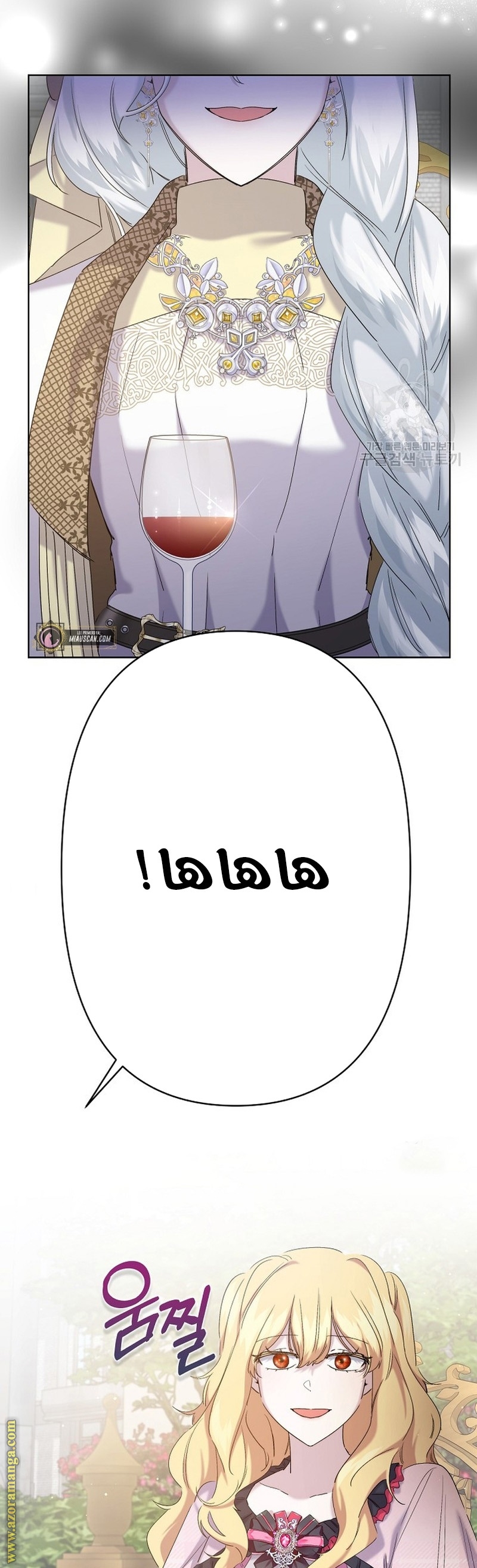 الصفحة 17