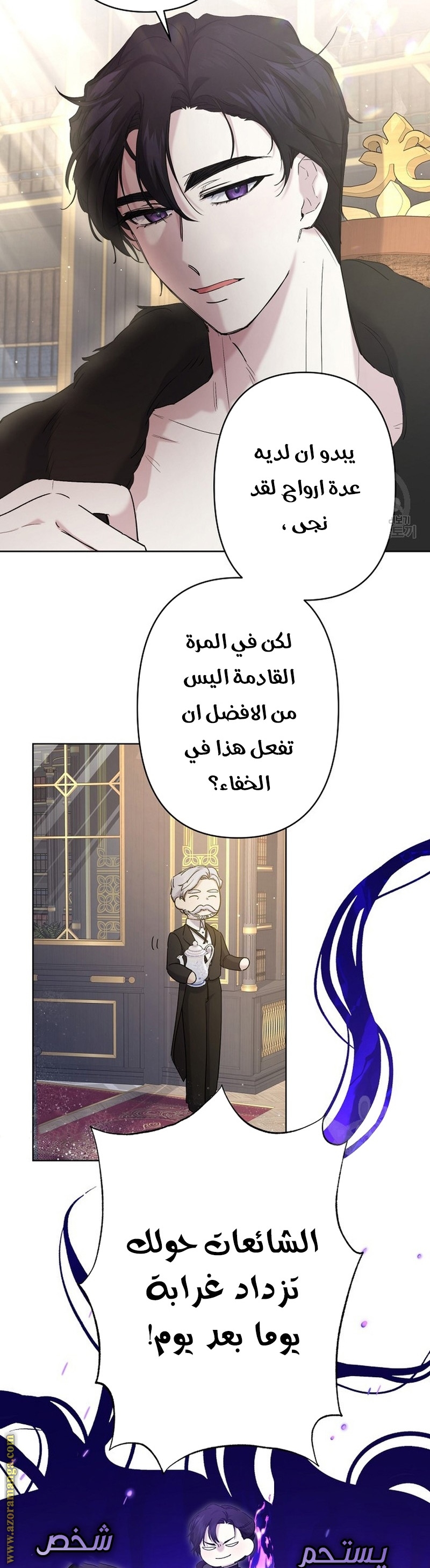الصفحة 29