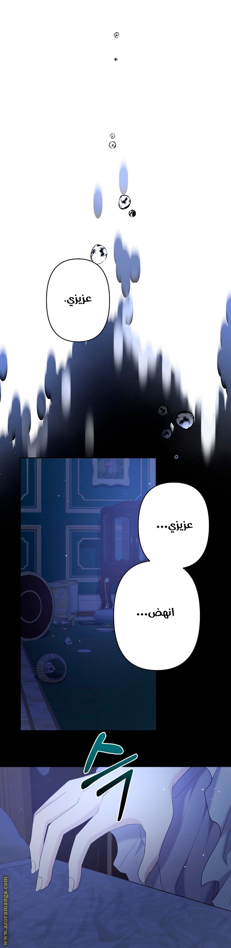 الصفحة 17