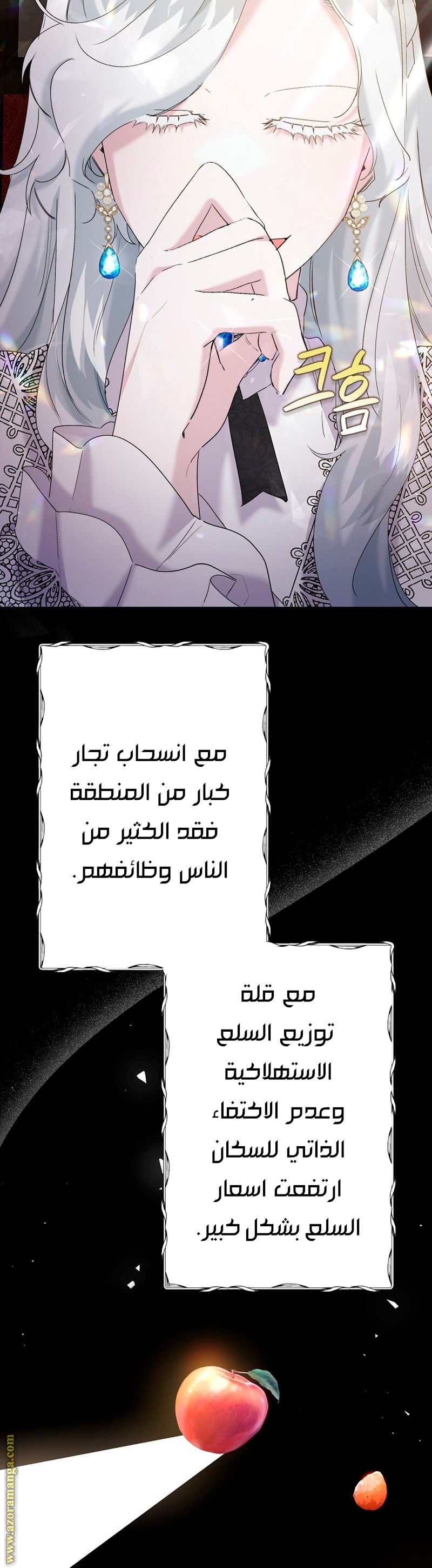 الصفحة 27