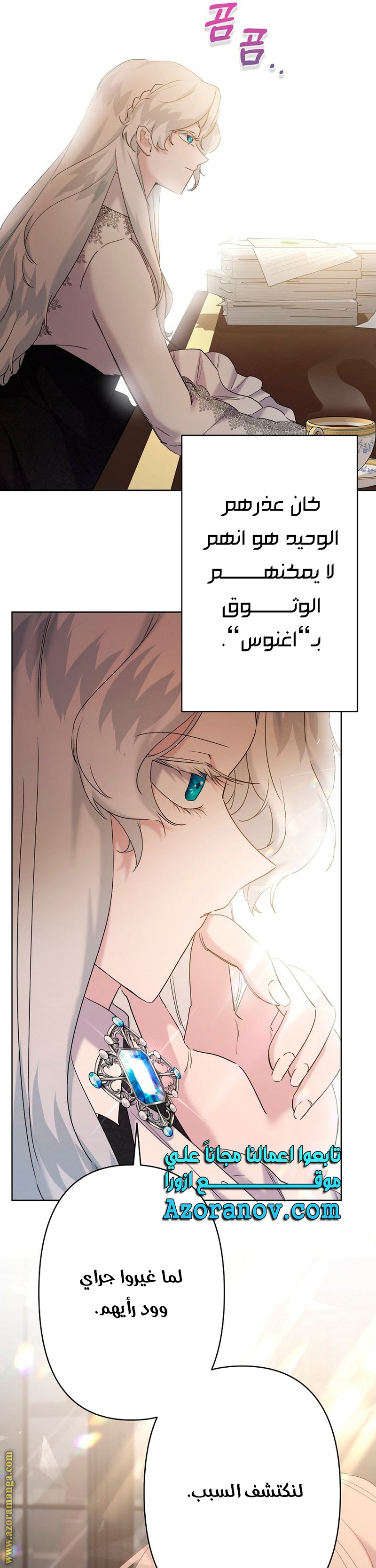 الصفحة 29