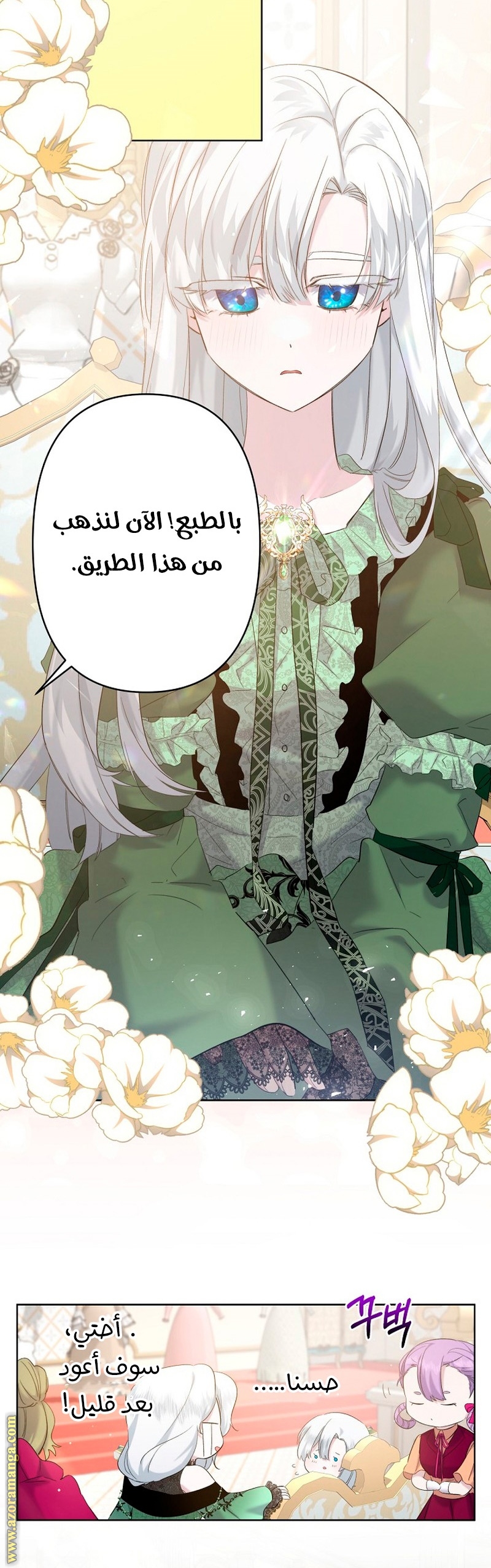 الصفحة 11