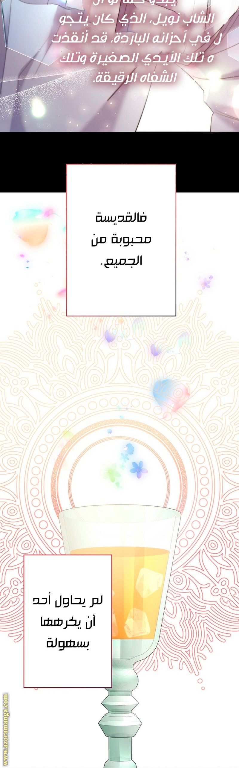 الصفحة 24