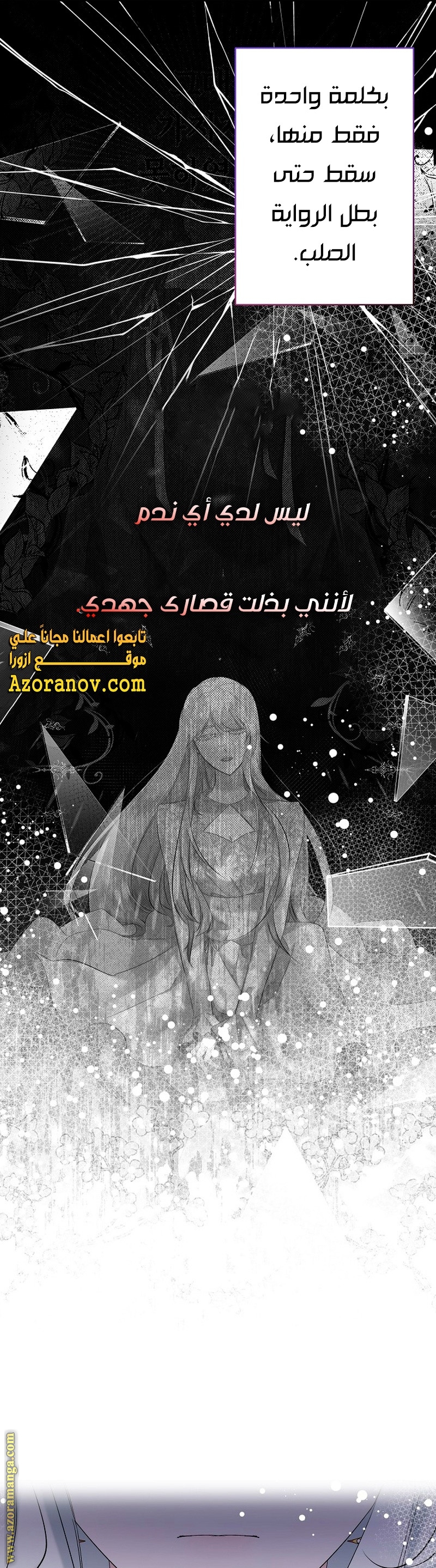 الصفحة 25