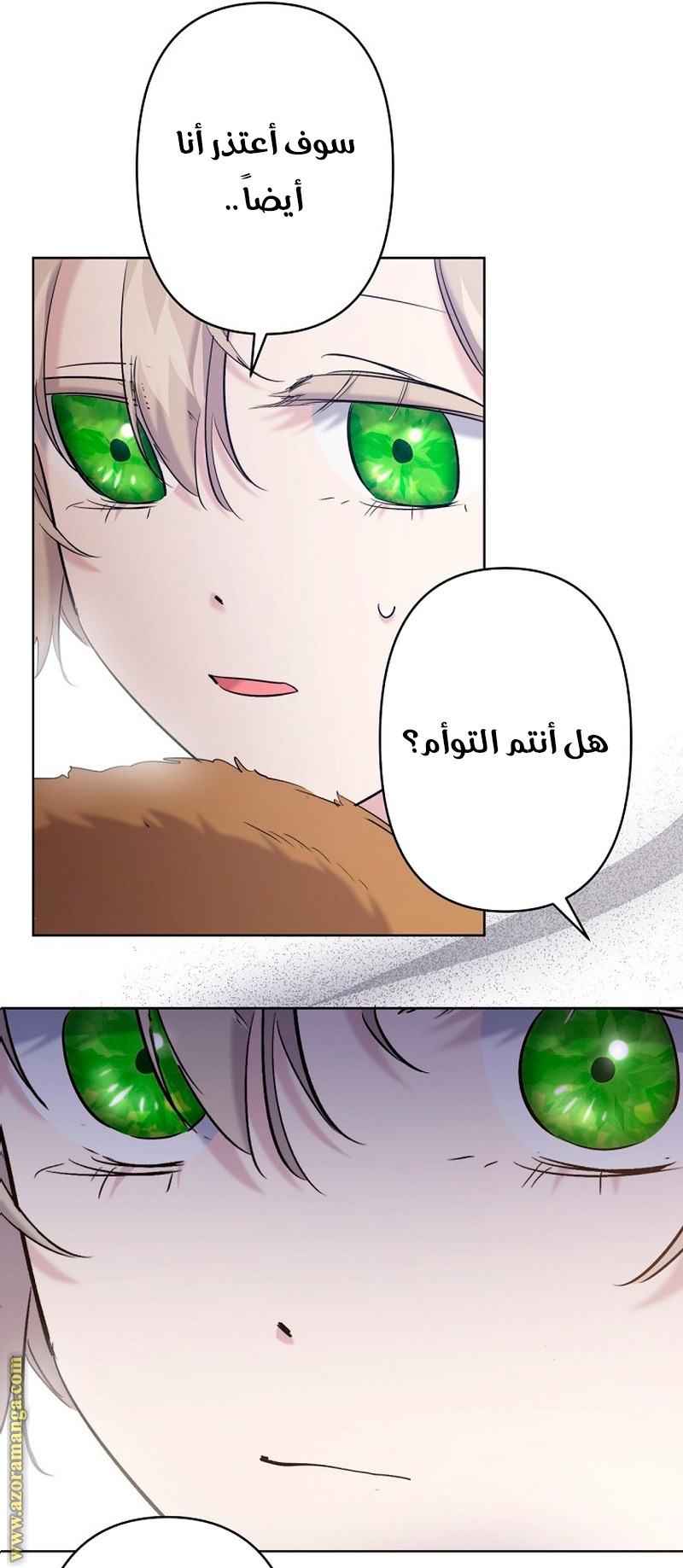 الصفحة 41