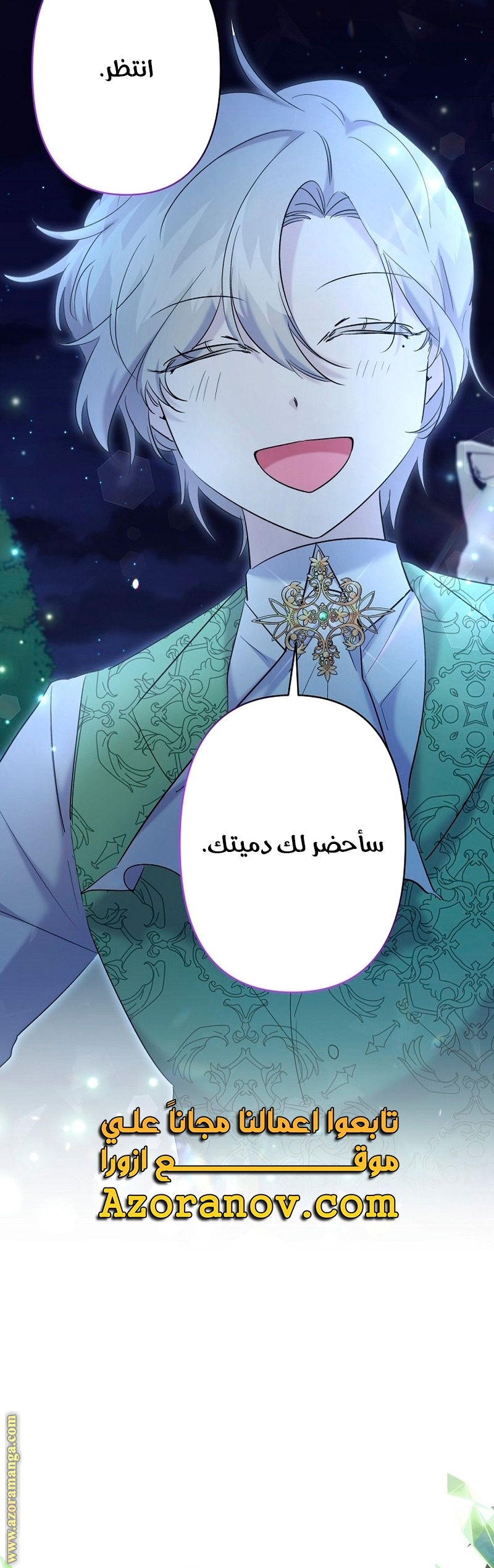 الصفحة 13