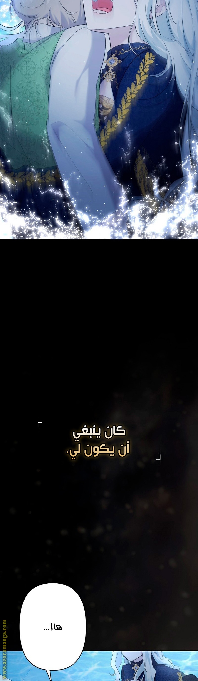 الصفحة 31