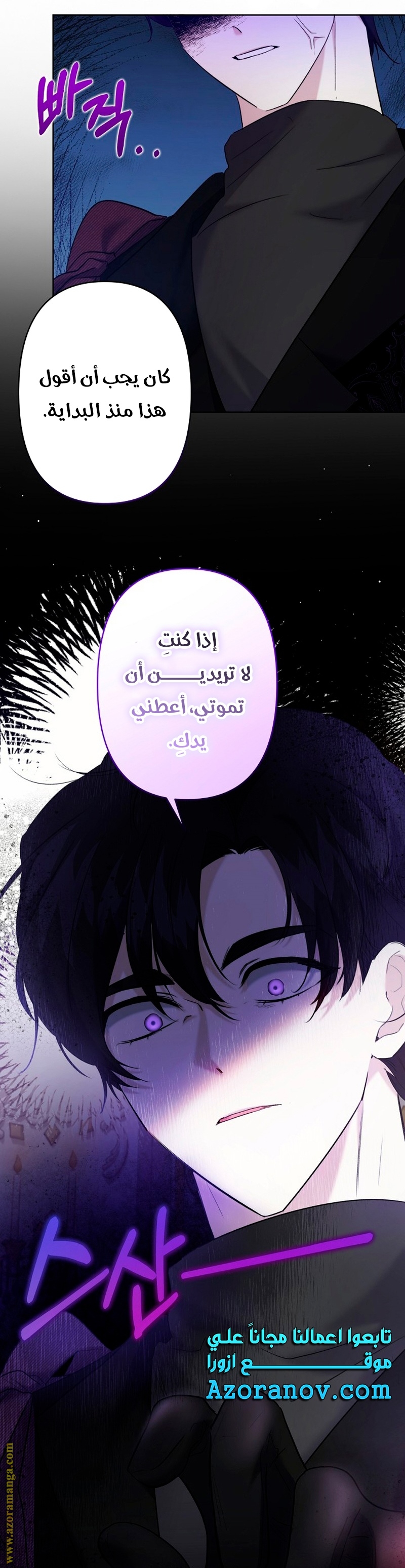 الصفحة 17