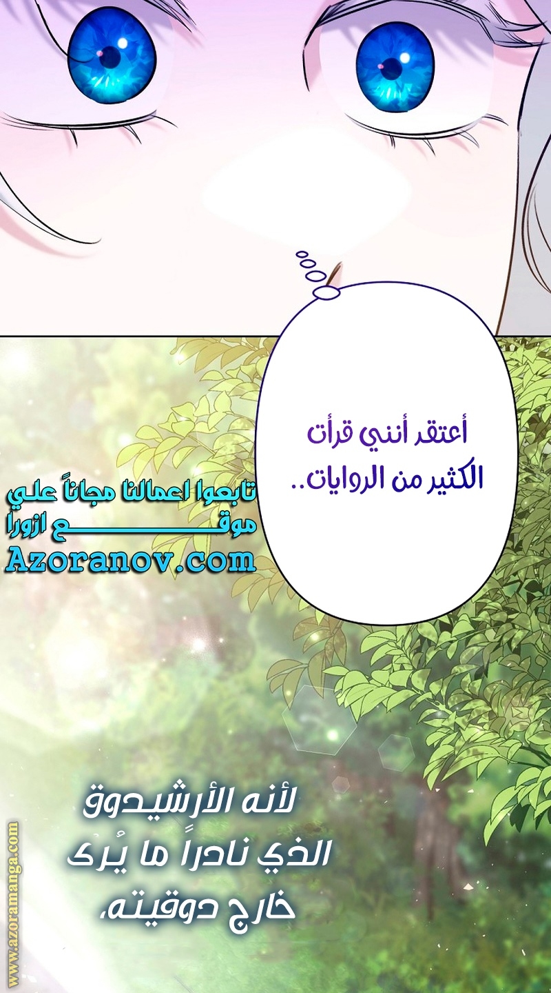 الصفحة 34