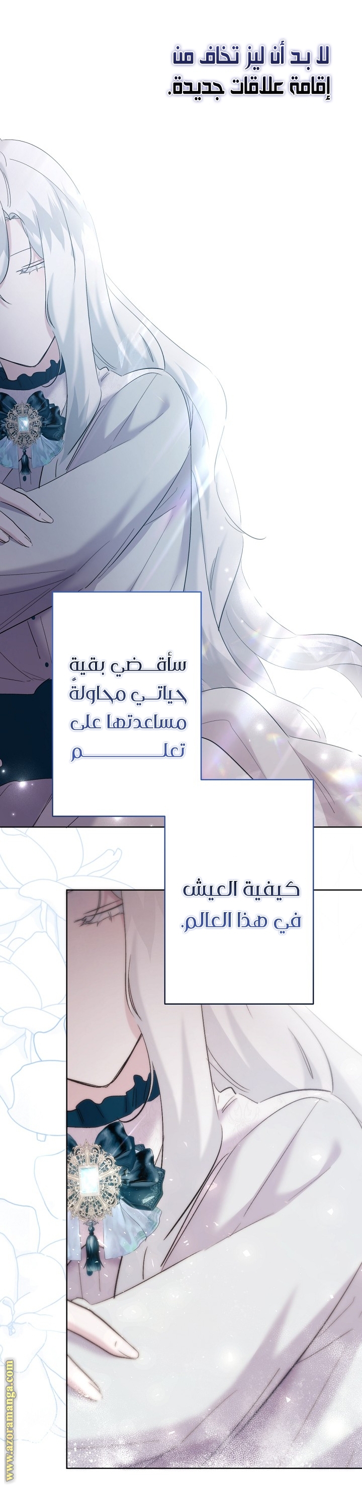 الصفحة 11