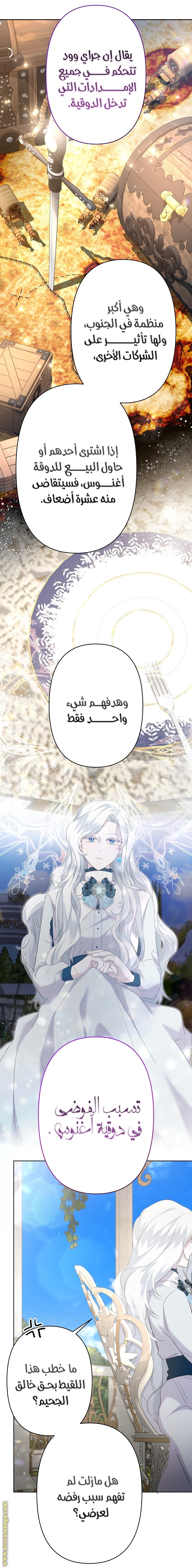 الصفحة 14