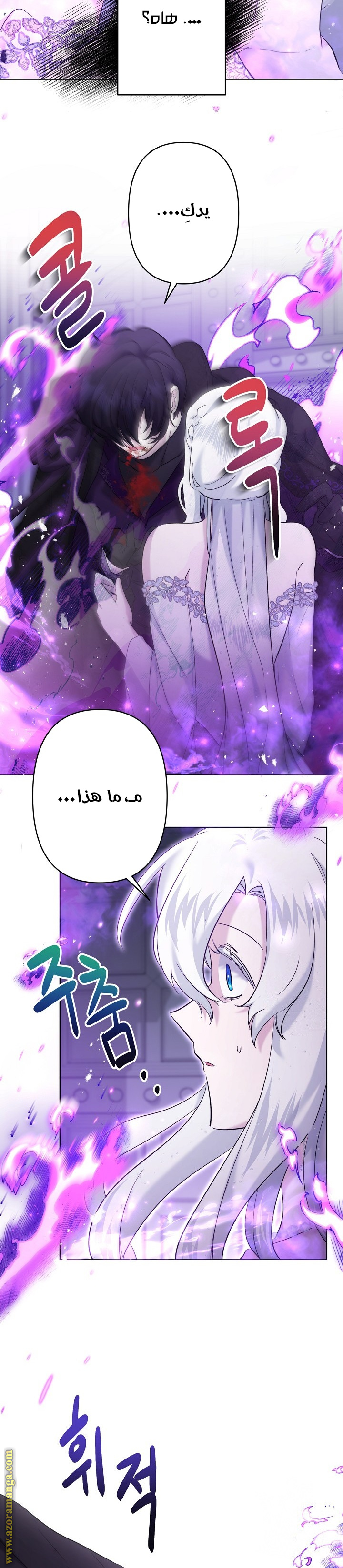 الصفحة 21