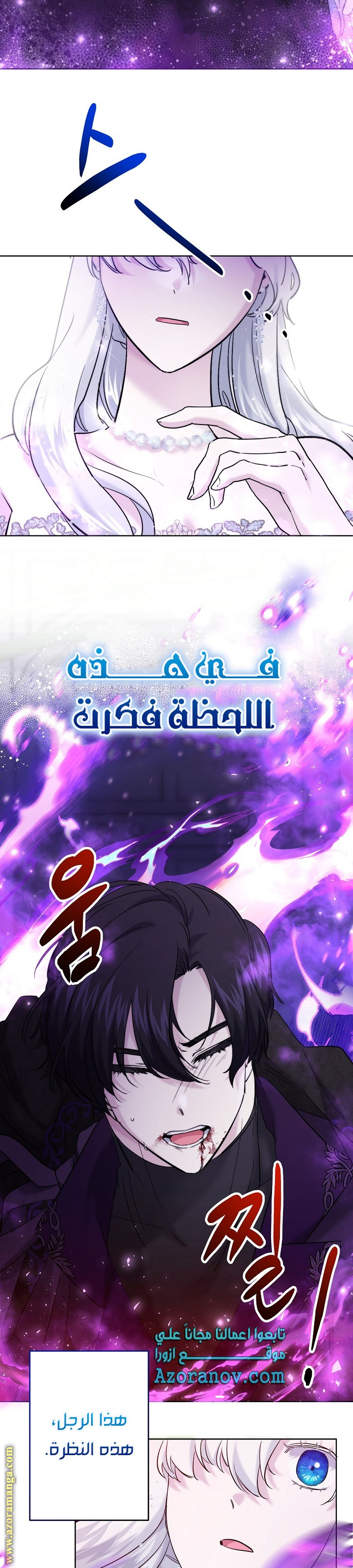 الصفحة 25