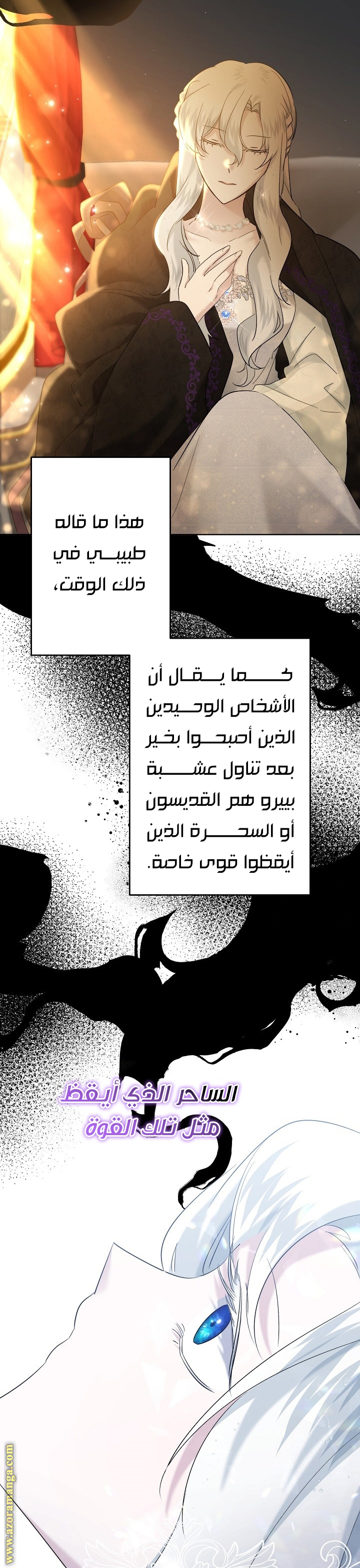 الصفحة 13