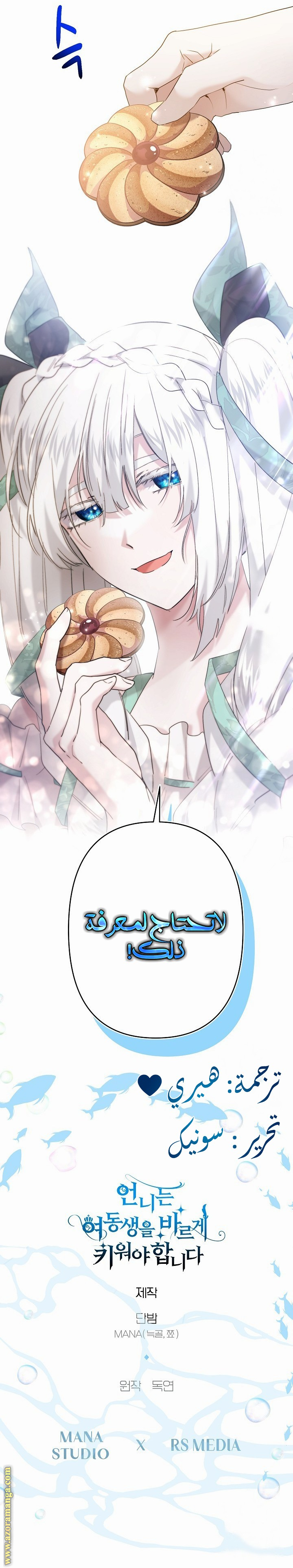 الصفحة 29