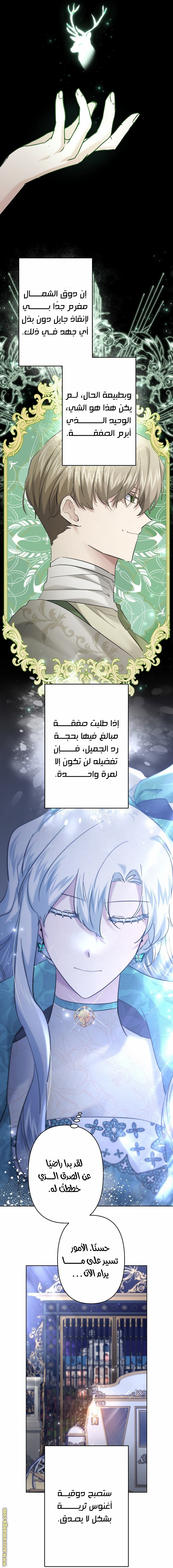 الصفحة 17