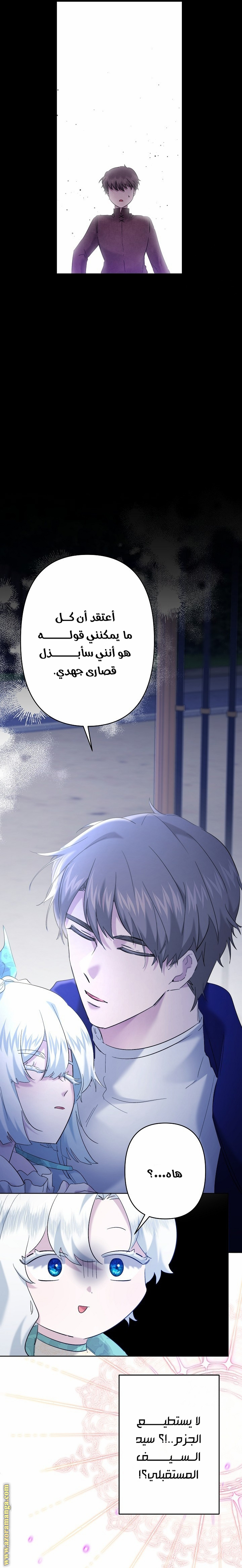 الصفحة 26