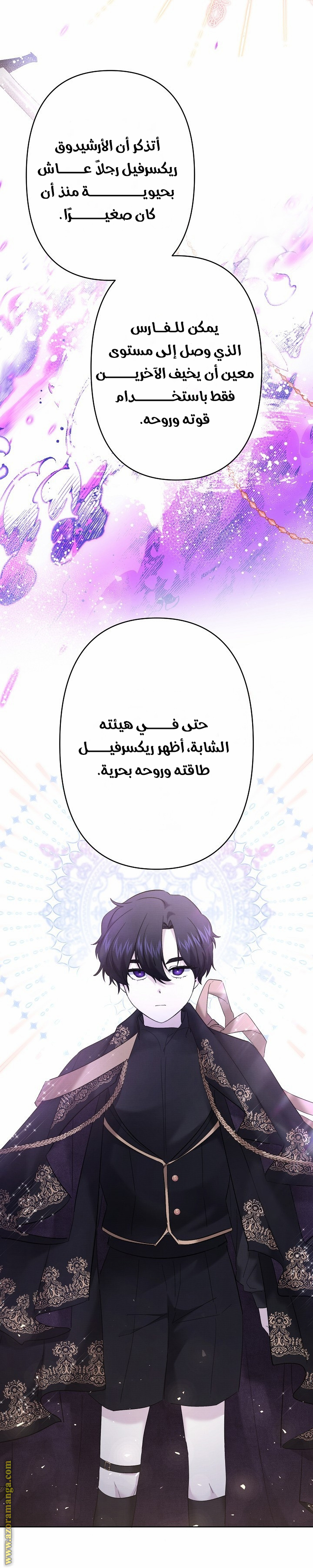 الصفحة 27
