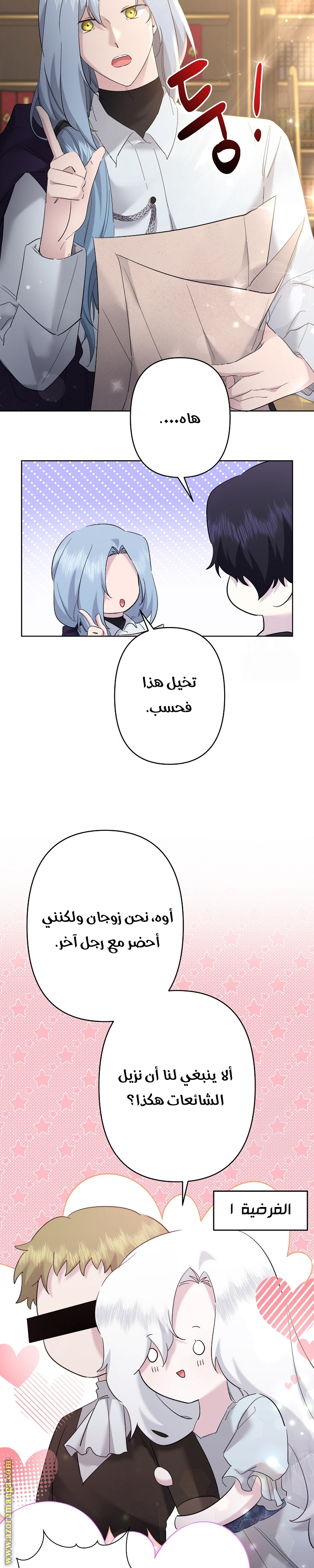 الصفحة 27