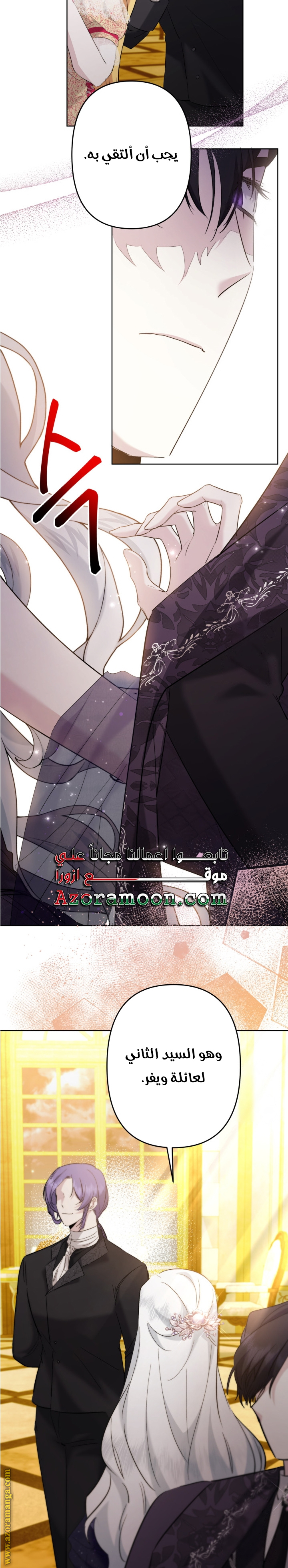 الصفحة 41