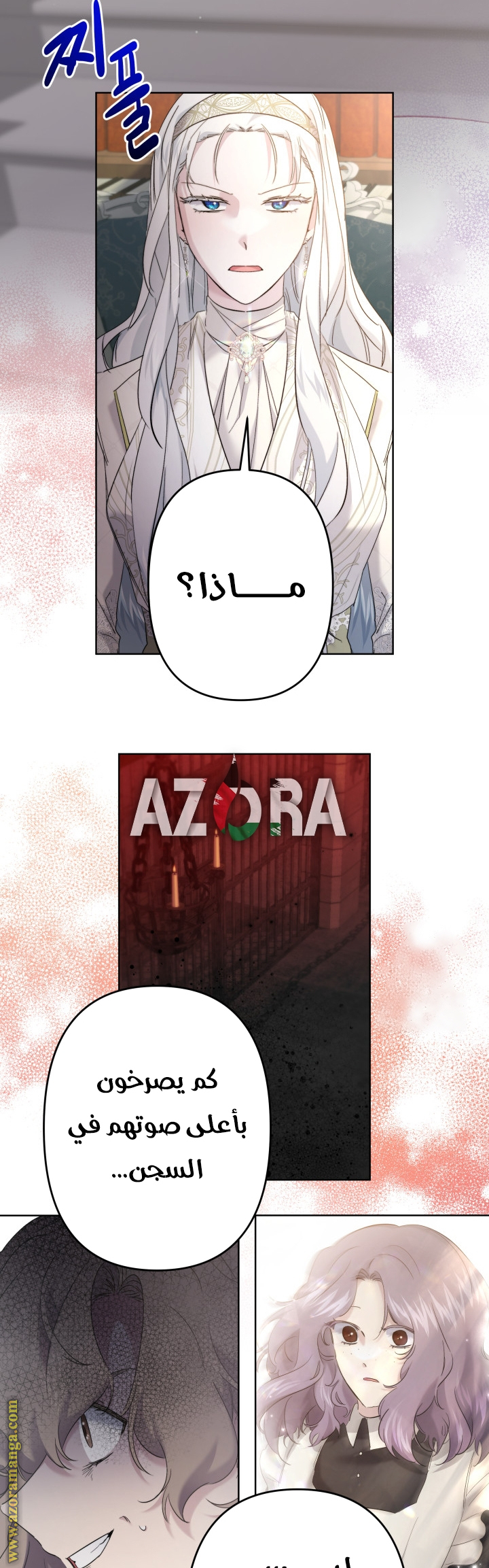 الصفحة 17