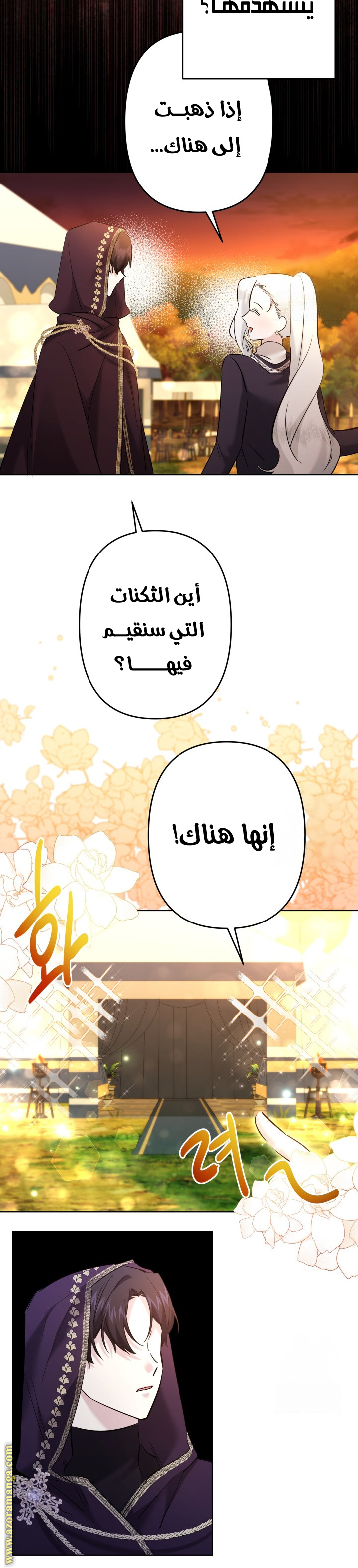 الصفحة 11