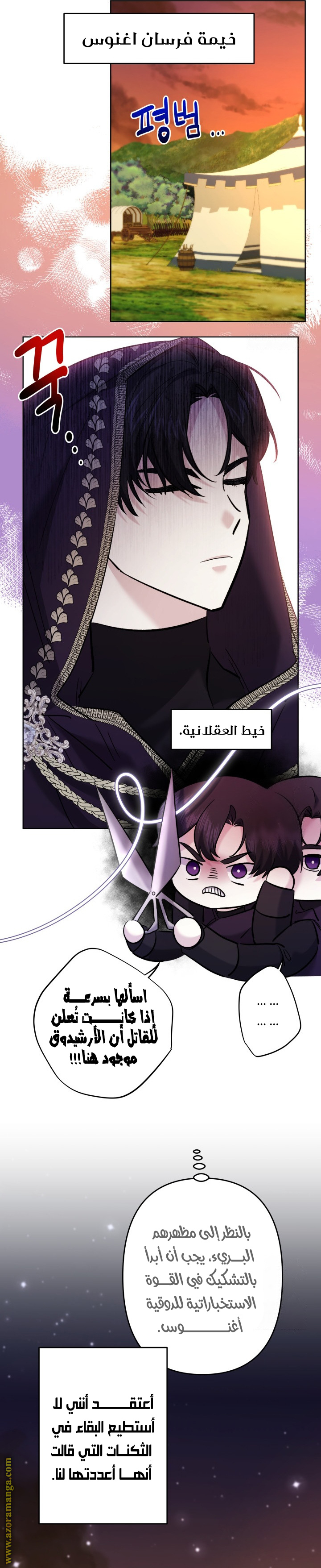 الصفحة 12