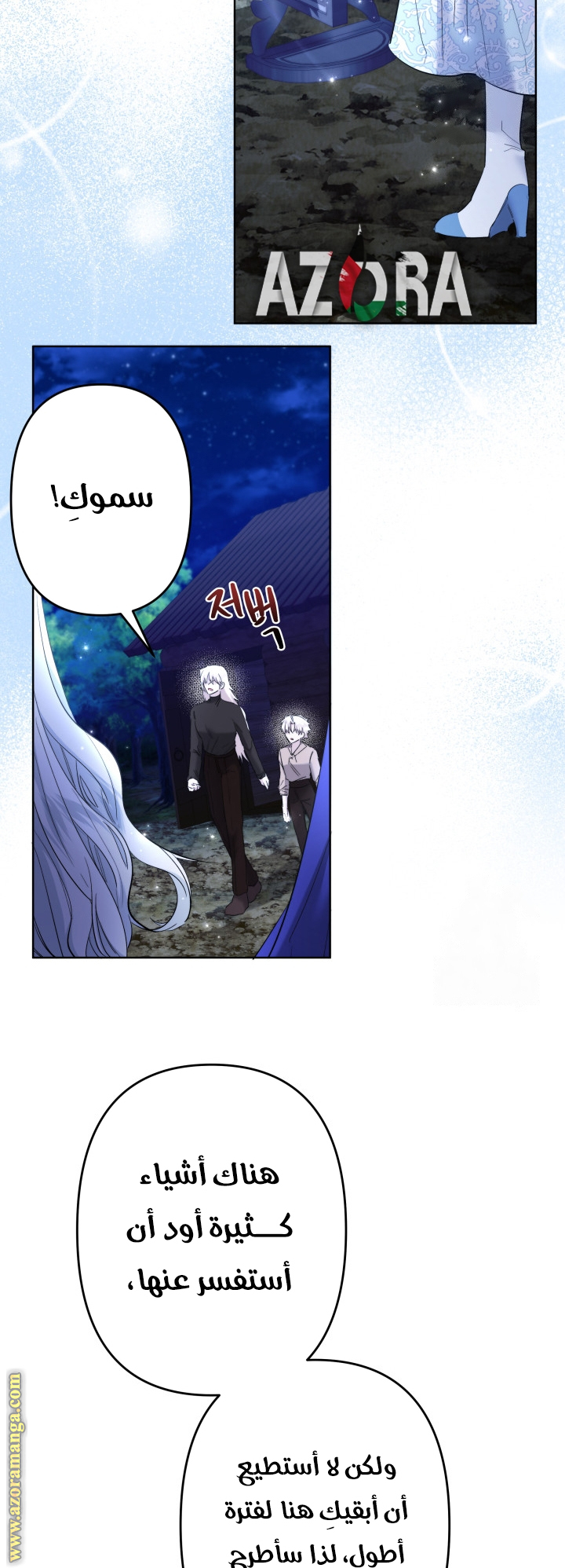الصفحة 13