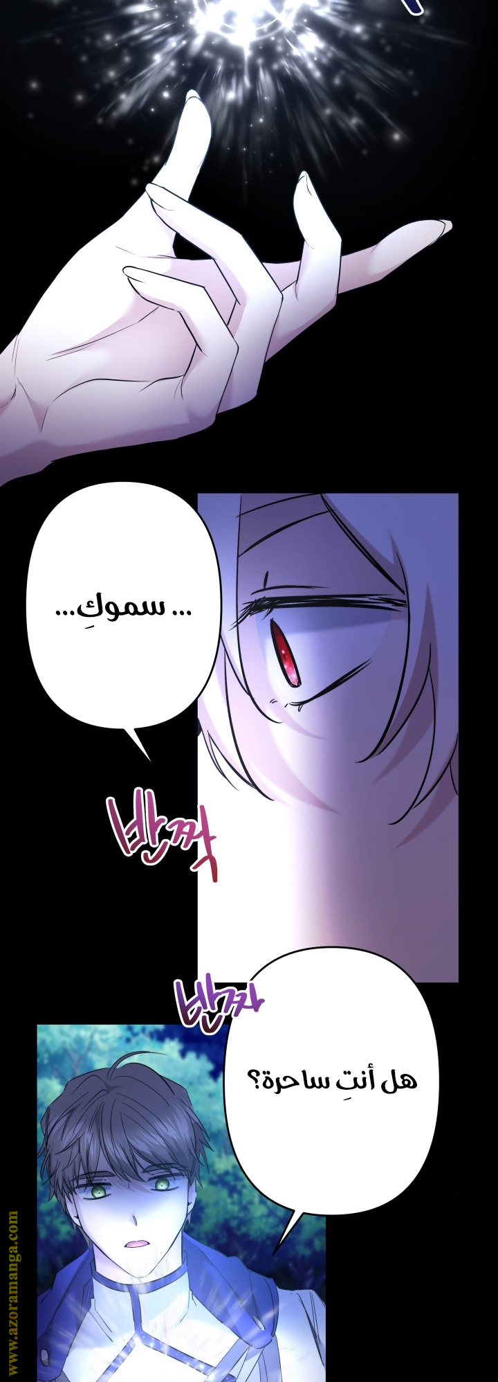 الصفحة 16