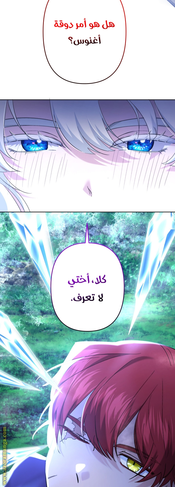 الصفحة 26