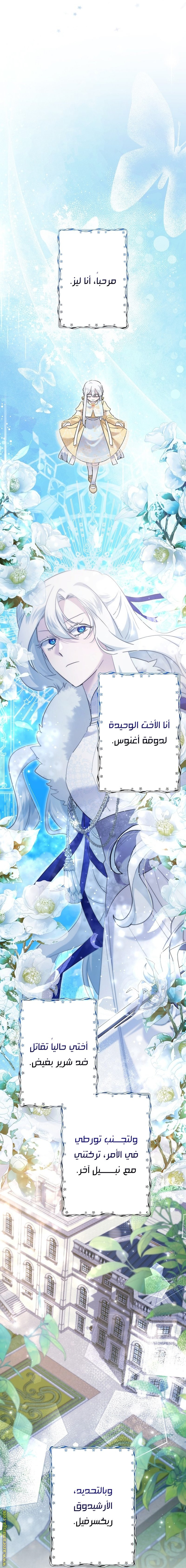 الصفحة 8