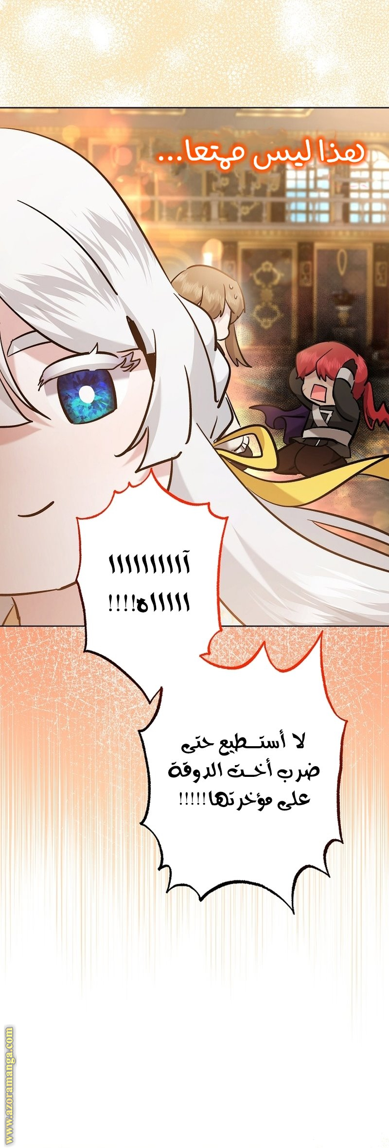 الصفحة 14