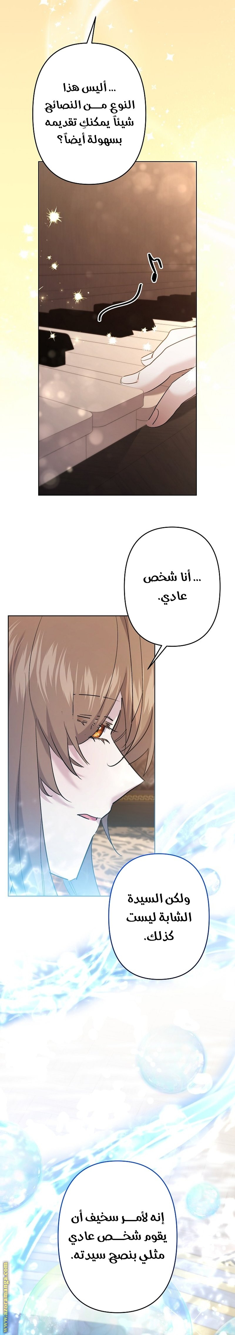 الصفحة 17