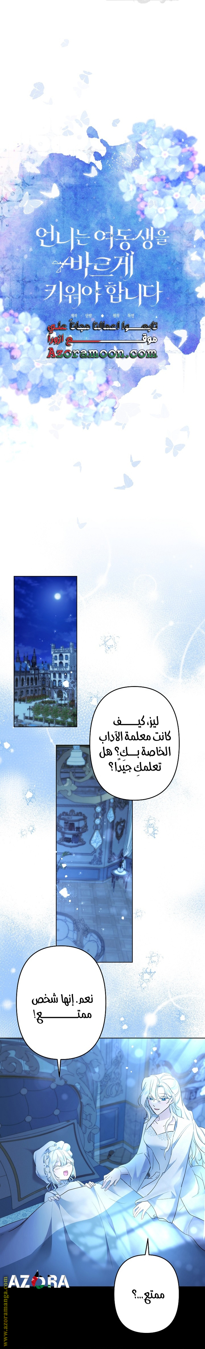 الصفحة 13