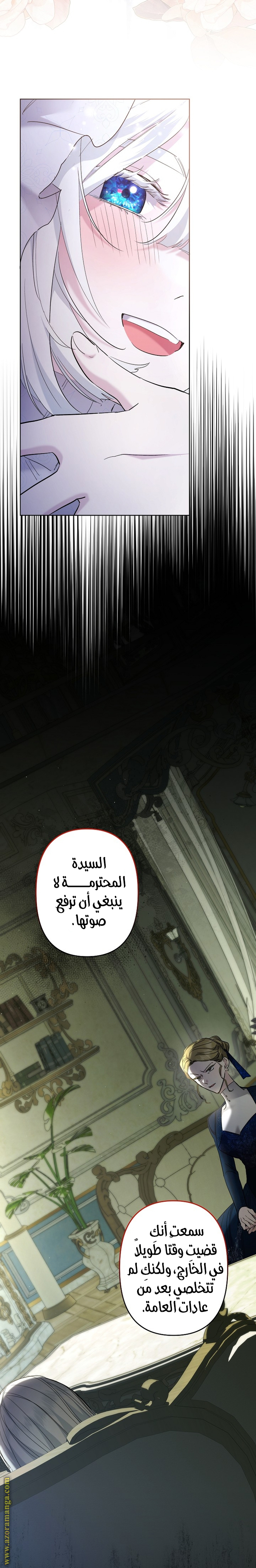 الصفحة 17