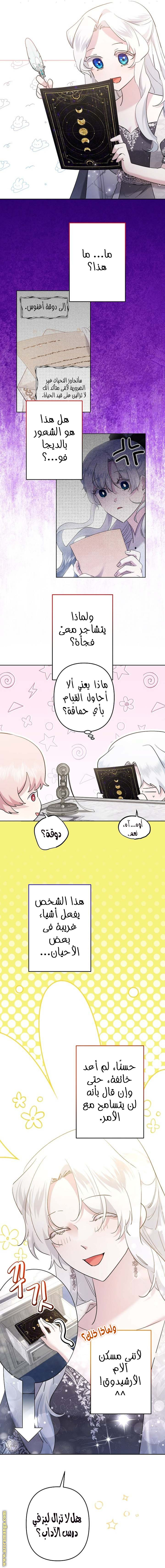 الصفحة 6
