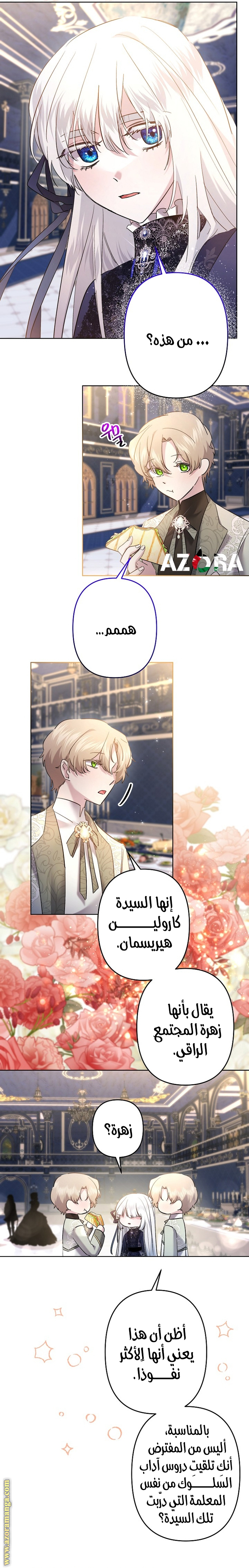 الصفحة 17