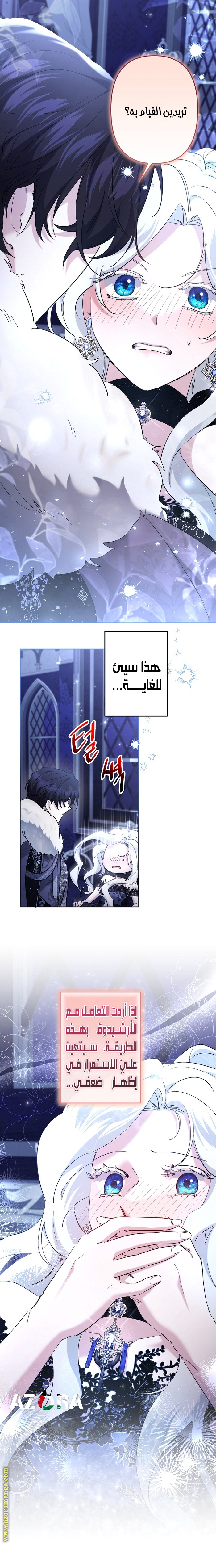 الصفحة 17