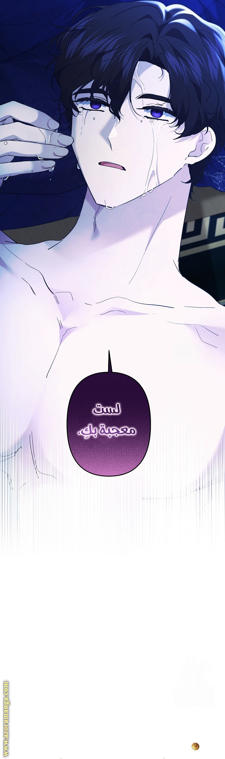 الصفحة 17