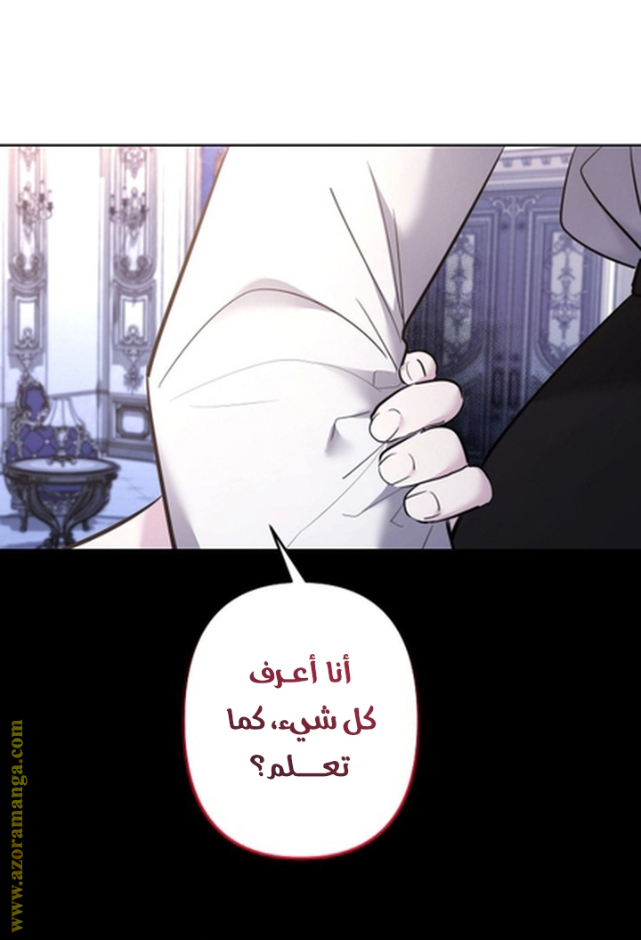 الصفحة 27