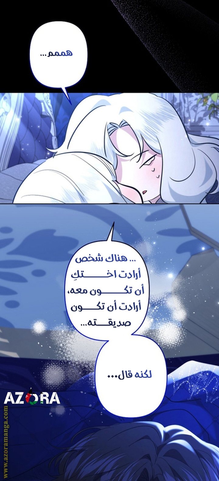 الصفحة 30