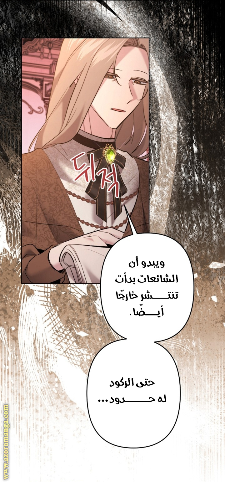 الصفحة 29