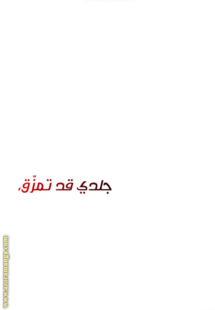 الصفحة 44