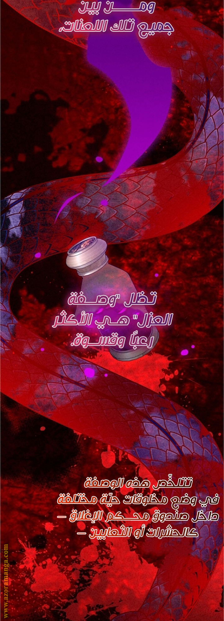 الصفحة 2