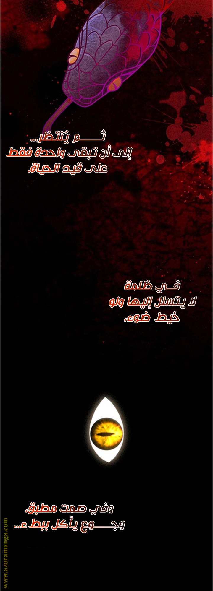 الصفحة 3